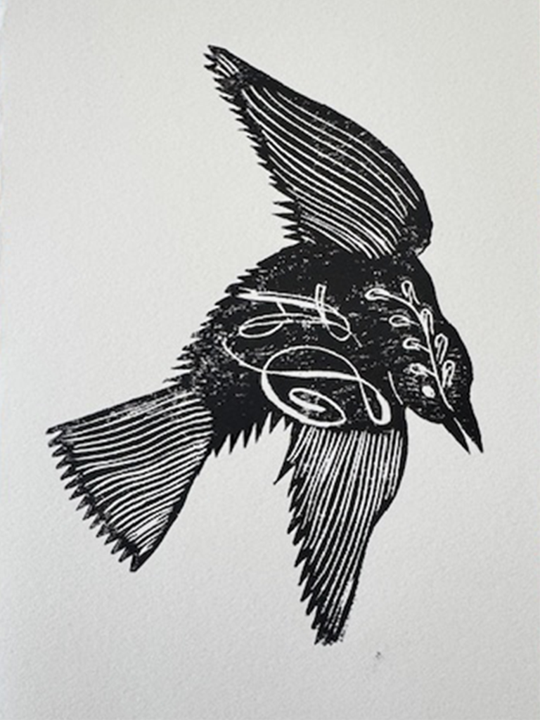 Descending Black Dove Card - Roztayger