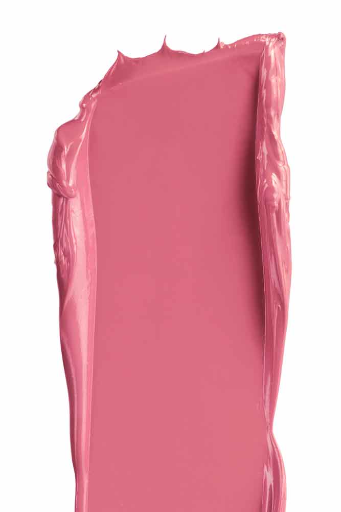 Dianthus  All Over Color - Roztayger