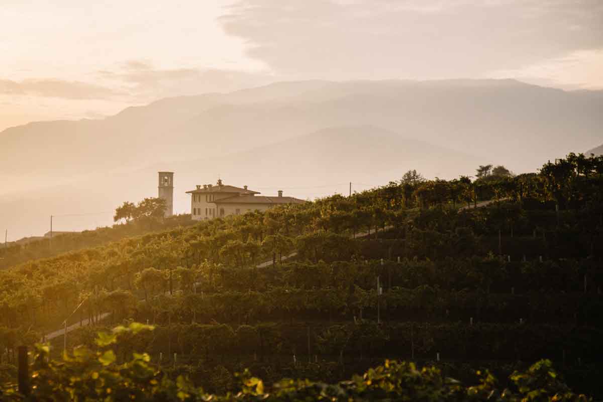 Eva Masaki Eyewear - Japanese Acetate Frames