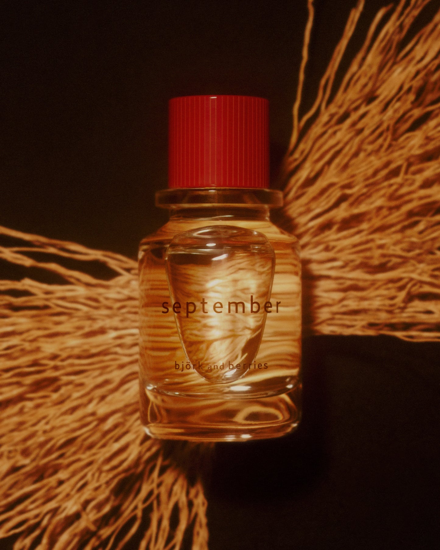 A small clear glass perfume bottle of Bjork and Berries September Eau de Parfum with a bright red cap, filled with amber-toned liquid, set against a dark background with dried straw-like botanical elements.