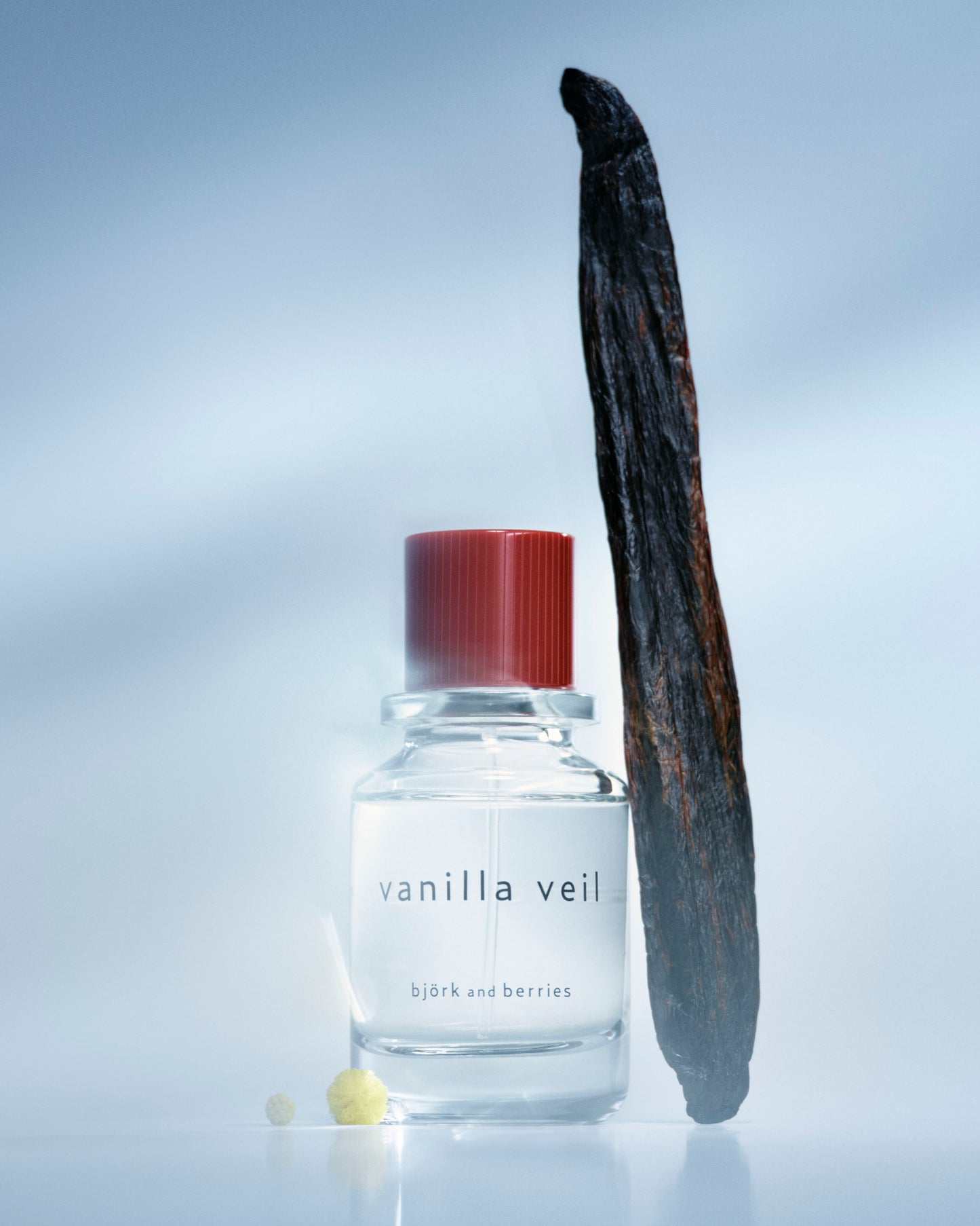 A clear glass perfume, Björk and berries in vanilla veil scent with a red cap, standing beside a long dark vanilla pod on a light blue reflective surface.